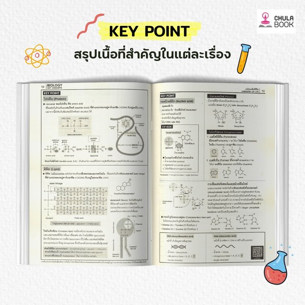 BIOLOGY KEY CONCEPTS หลักชีววิทยาสำหรับเตรียมสอบเข้ามหาวิทยาลัย