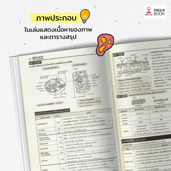 BIOLOGY KEY CONCEPTS หลักชีววิทยาสำหรับเตรียมสอบเข้ามหาวิทยาลัย