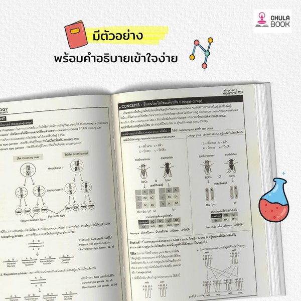 BIOLOGY KEY CONCEPTS หลักชีววิทยาสำหรับเตรียมสอบเข้ามหาวิทยาลัย