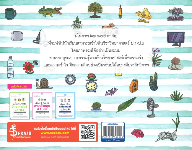 KEY MAP วิทยาศาสตร์ ป.1-ป.6 แผนที่ความคิด พิชิตข้อสอบมั่นใจ 100%