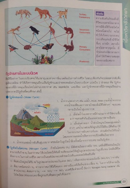SUPER SCIENCE สรุปวิทยาศาสตร์ ม.ต้น