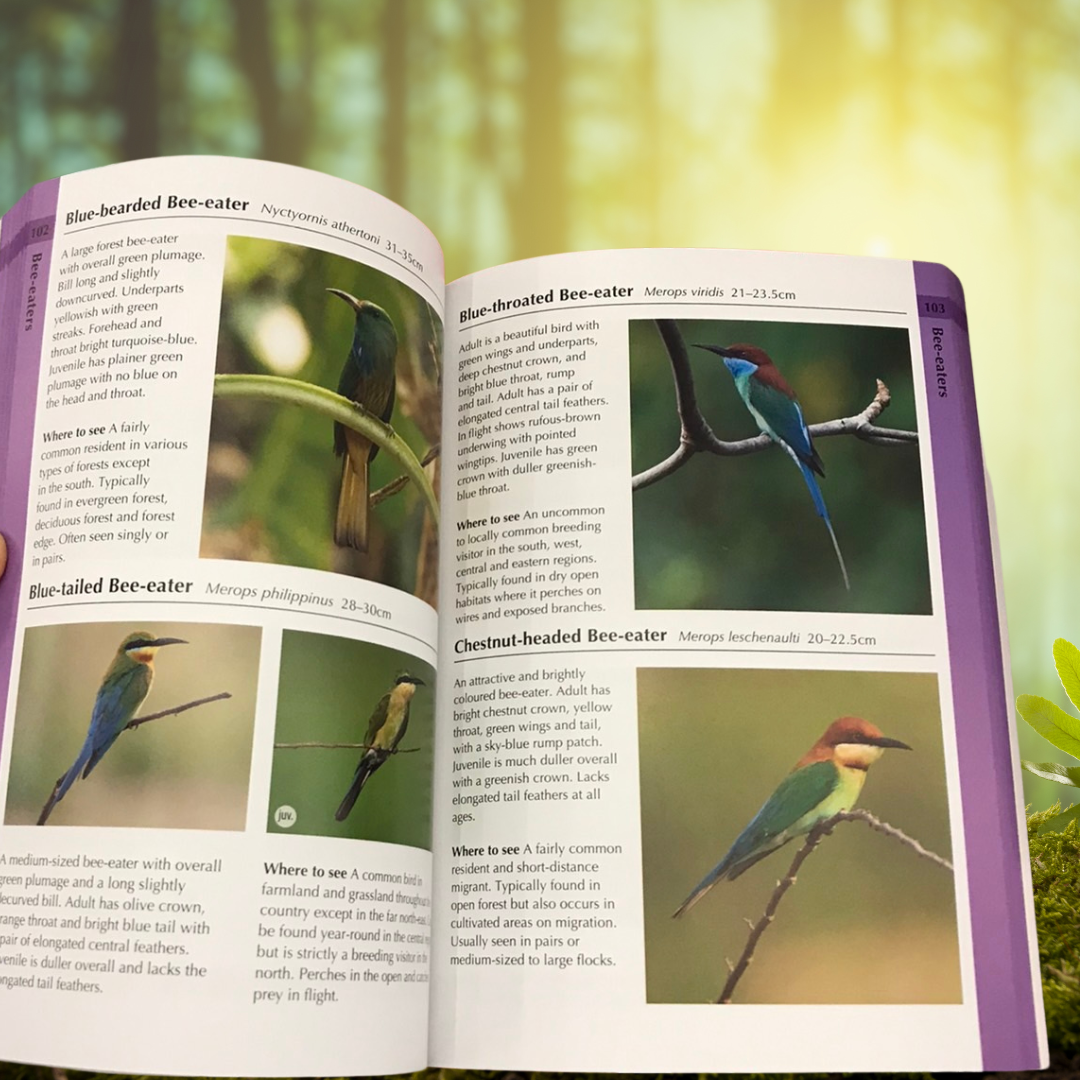 BIRDS OF THAILAND
