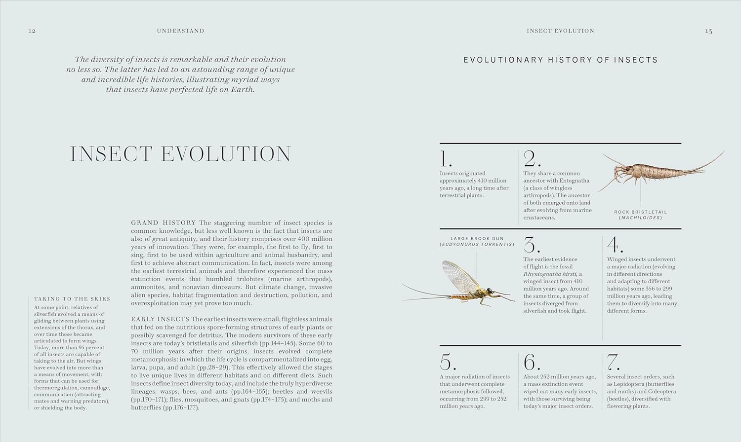 INSECTS: DISCOVER THE SCIENCE AND SECRETS BEHIND THE WORLD OF INSECTS (HC)