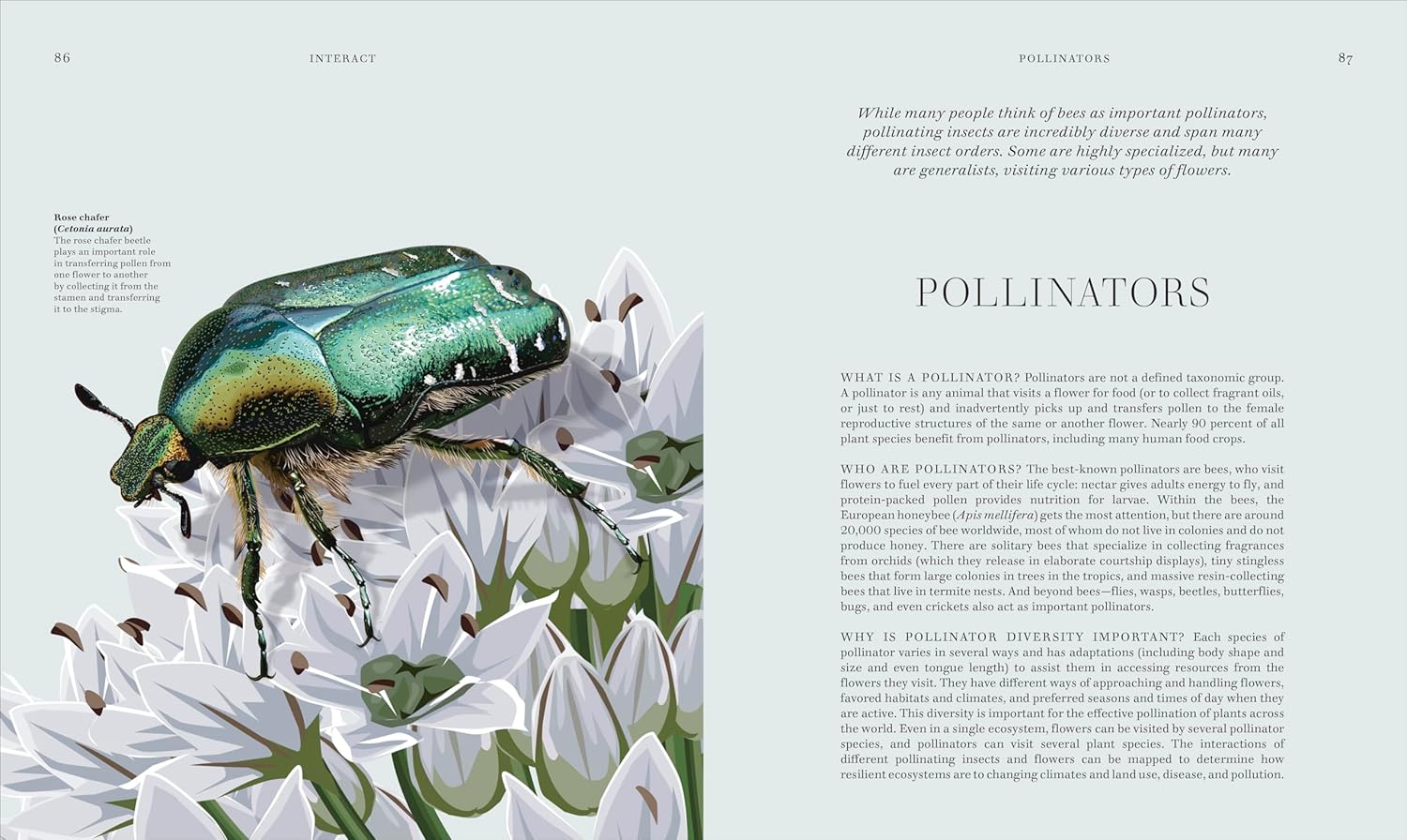 INSECTS: DISCOVER THE SCIENCE AND SECRETS BEHIND THE WORLD OF INSECTS (HC)