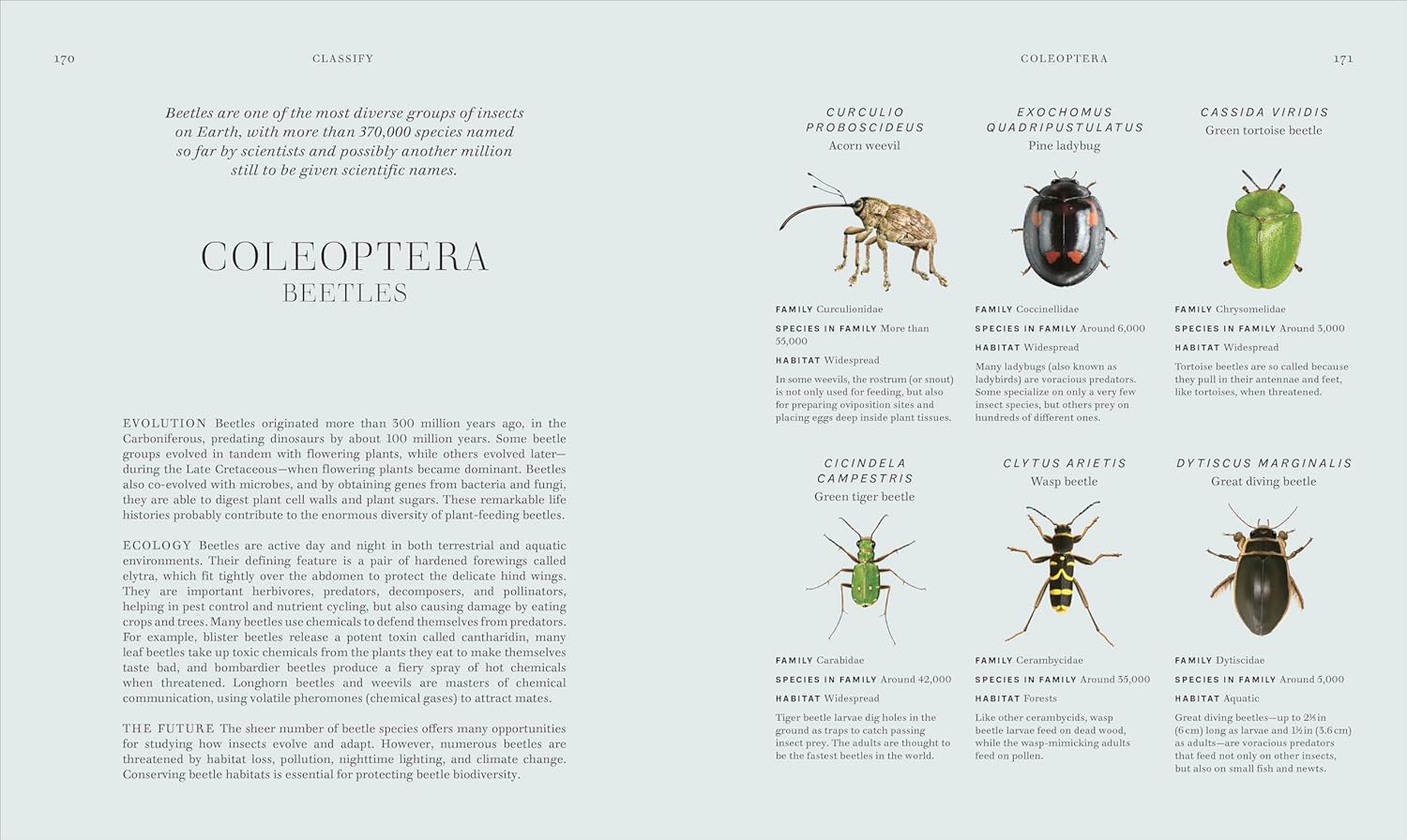 INSECTS: DISCOVER THE SCIENCE AND SECRETS BEHIND THE WORLD OF INSECTS (HC)
