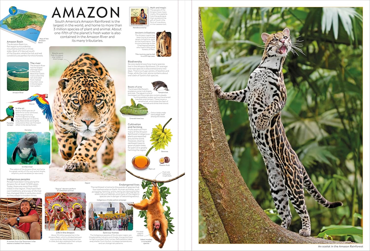 EYEWITNESS ENCYCLOPEDIA POSTER BOOK