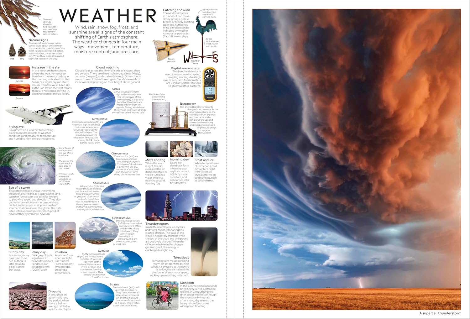 EYEWITNESS ENCYCLOPEDIA POSTER BOOK