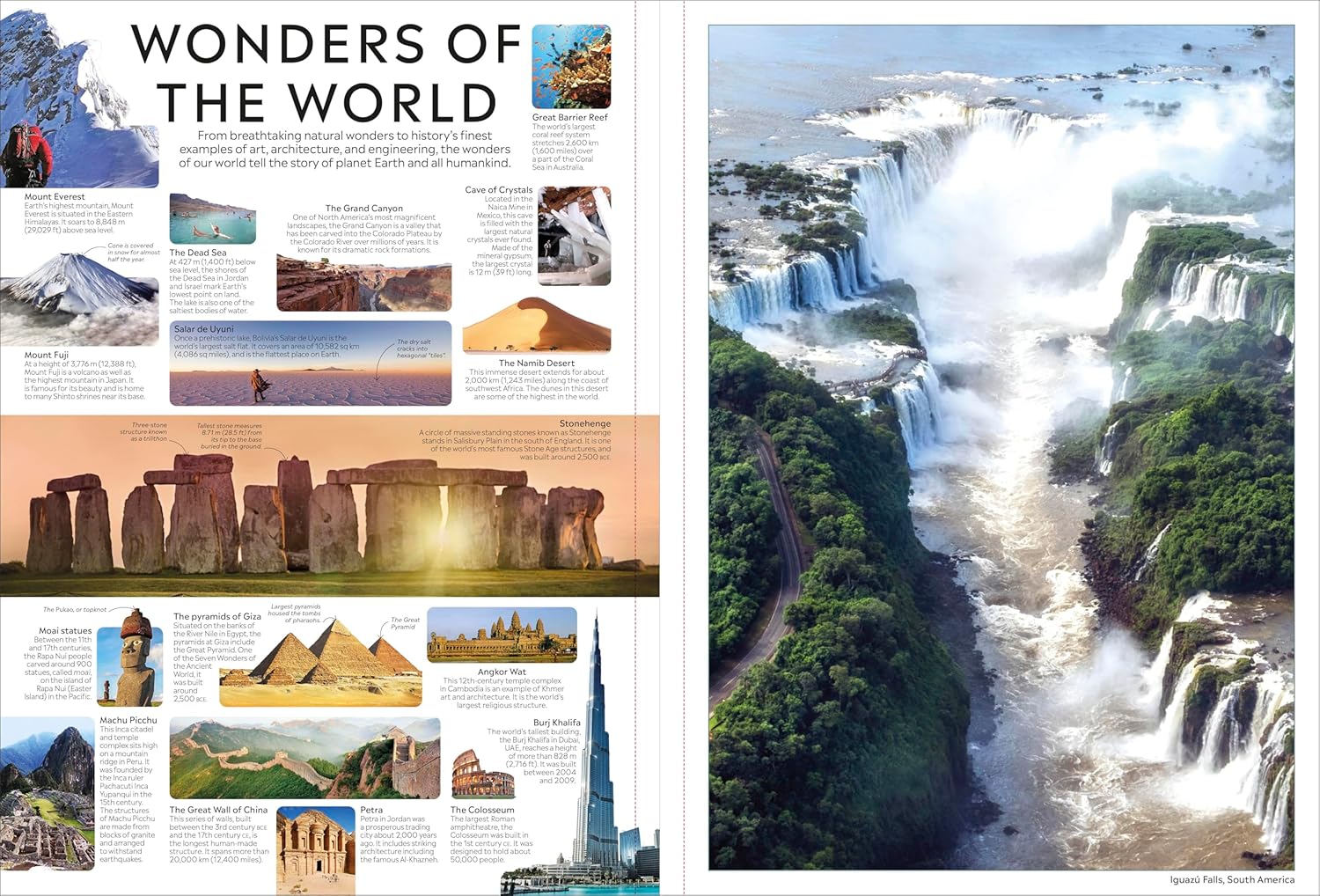 EYEWITNESS ENCYCLOPEDIA POSTER BOOK