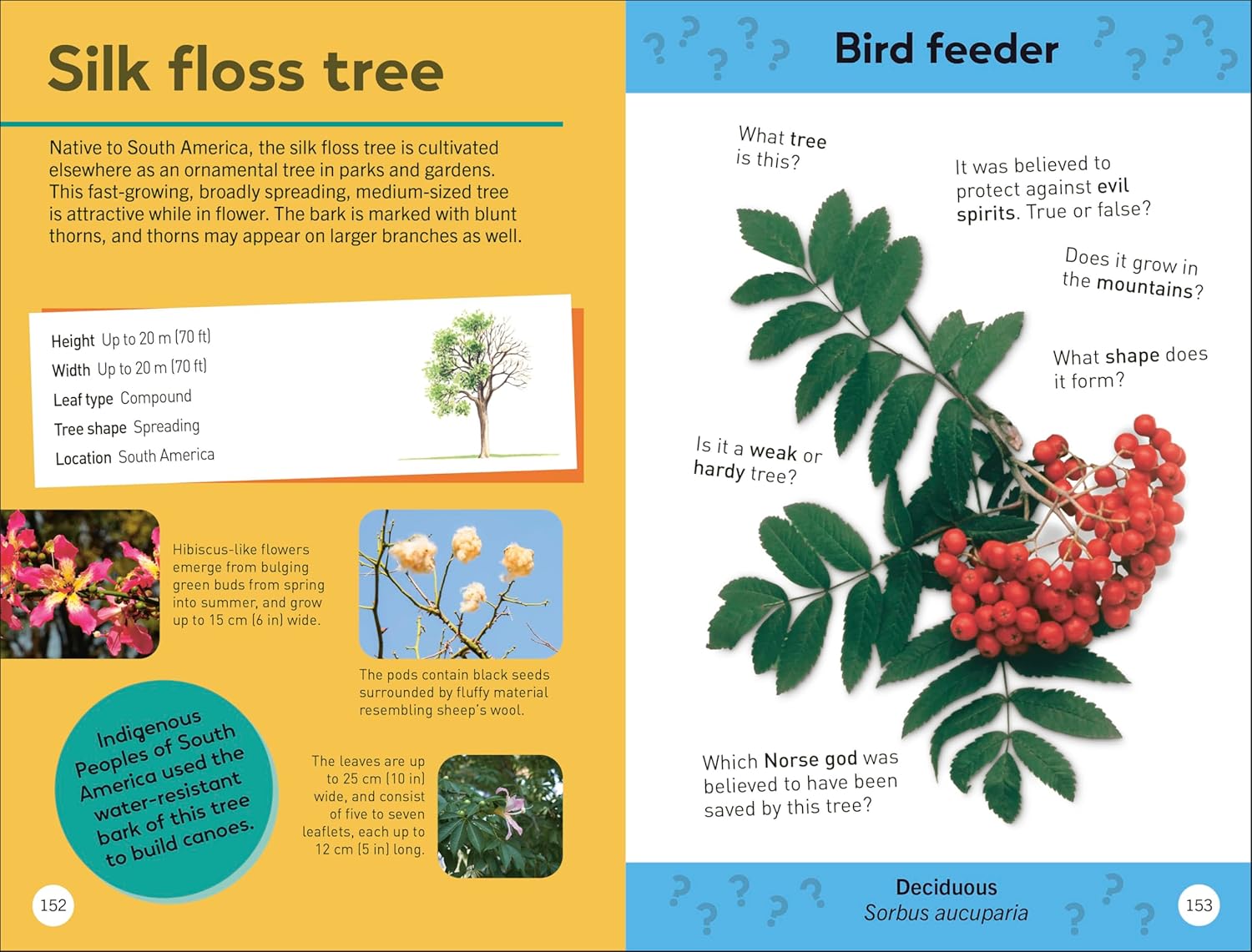 TREES OF THE WORLD: QUIZ YOURSELF CLEVER!