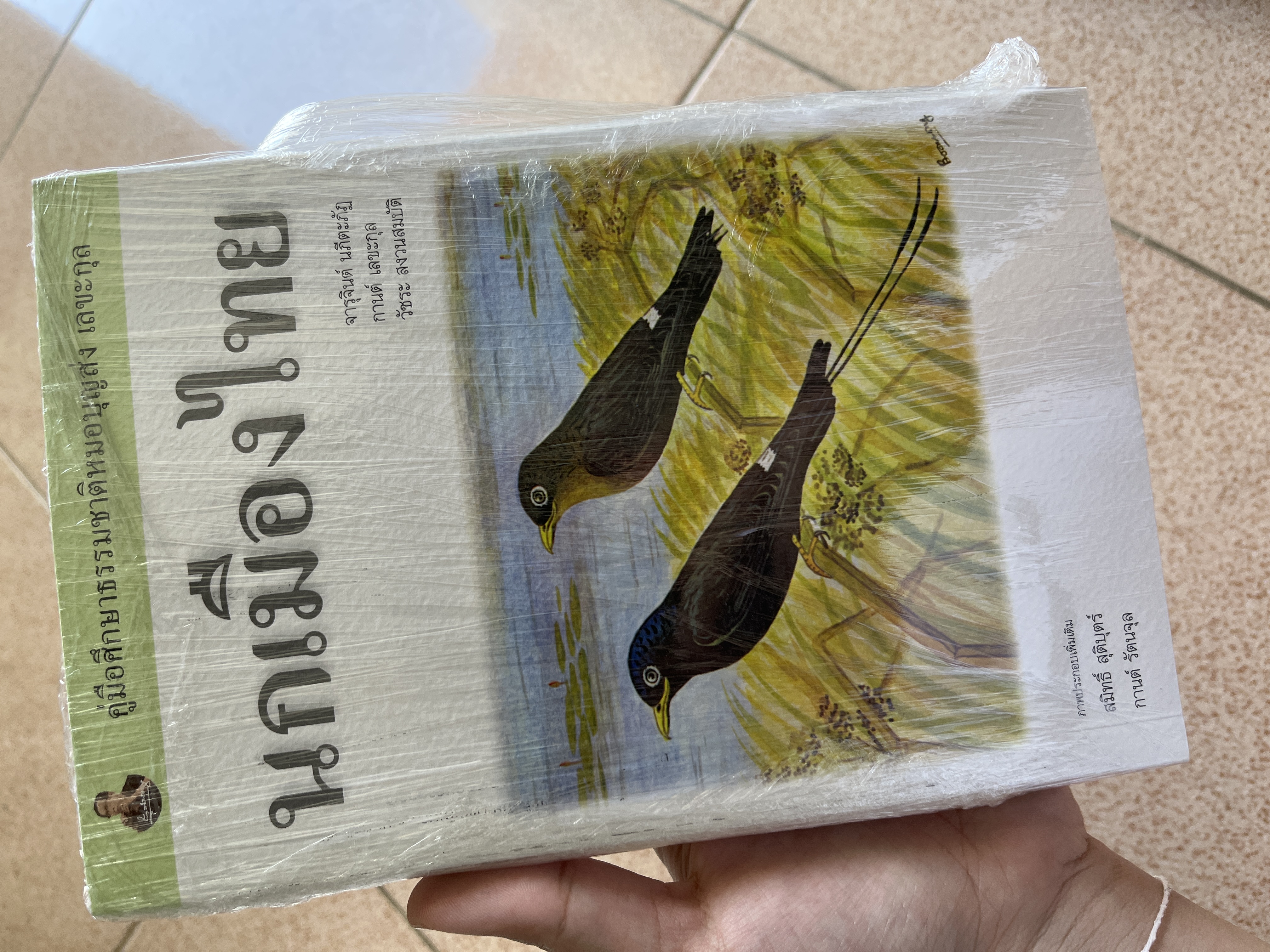 review image