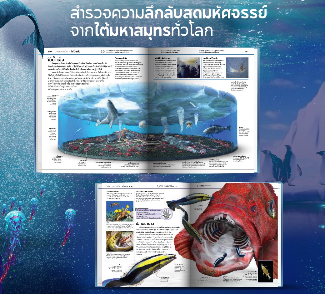 มหาสมุทร :สารานุกรมความรู้ (ปกแข็ง)