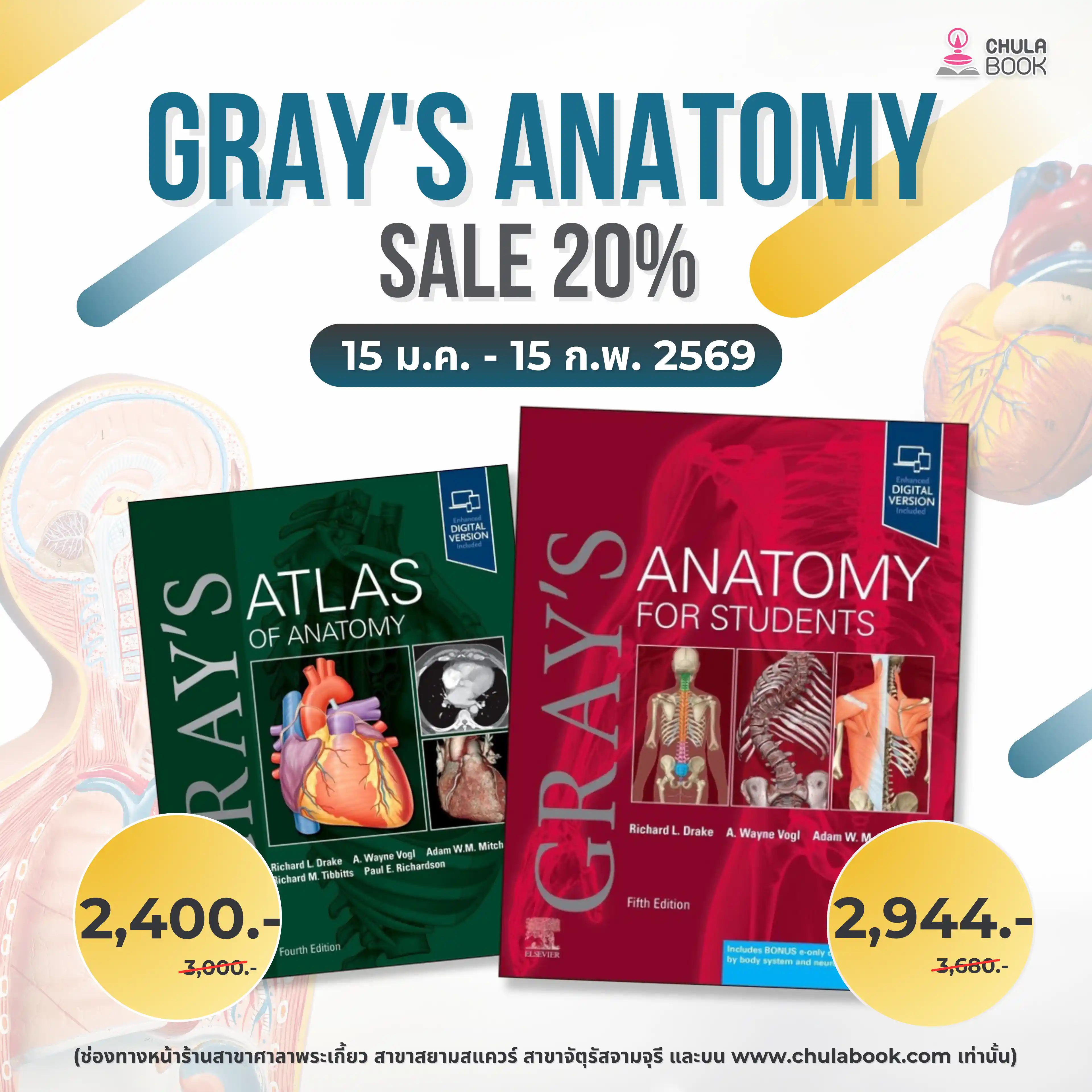 GRAY'S ANATOMY