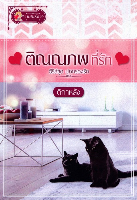 ติณณภพที่รัก :ซีรีส์ชุด ปกครองรัก