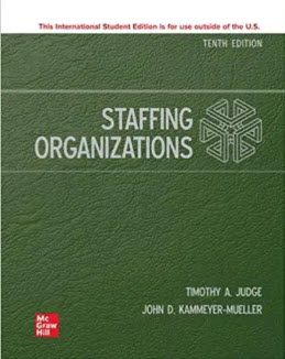 STAFFING ORGANIZATIONS (ISE)