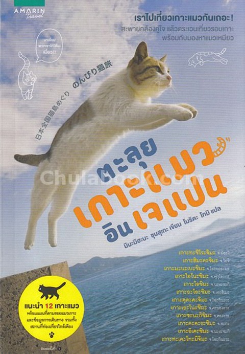 ตะลุยเกาะแมว อิน เจแปน