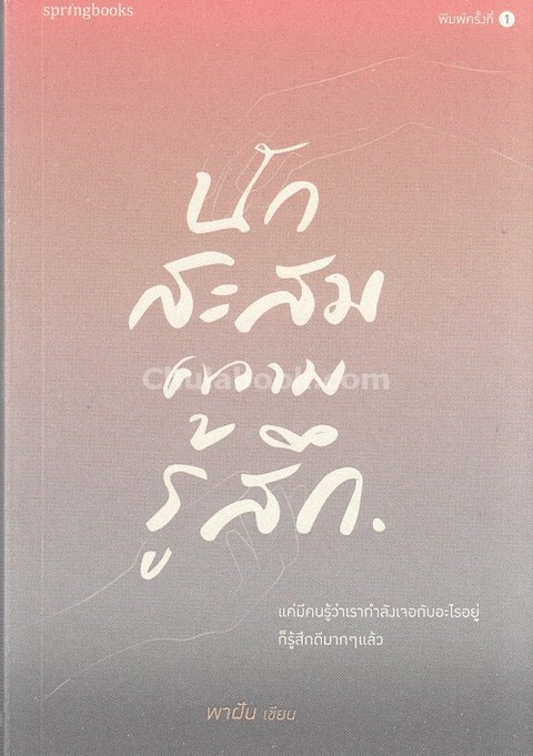 นักสะสมความรู้สึก