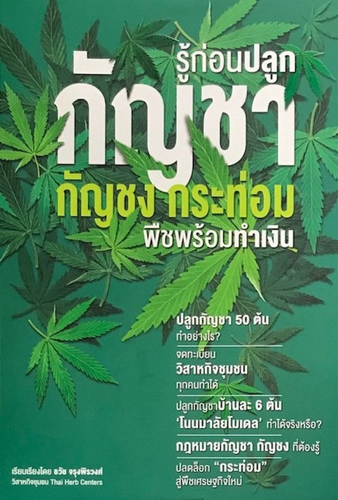 รู้ก่อนปลูกกัญชา กัญชง กระท่อม พืชพร้อมทำเงิน