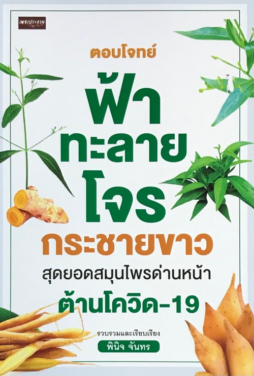 ตอบโจทย์ฟ้าทะลายโจร กระชายขาว สุดยอดสมุนไพรด่านหน้าต้านโควิด-19