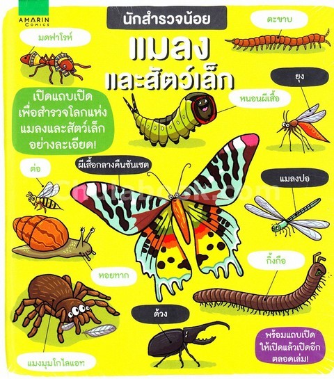แมลงและสัตว์เล็ก :ชุดนักสำรวจน้อย