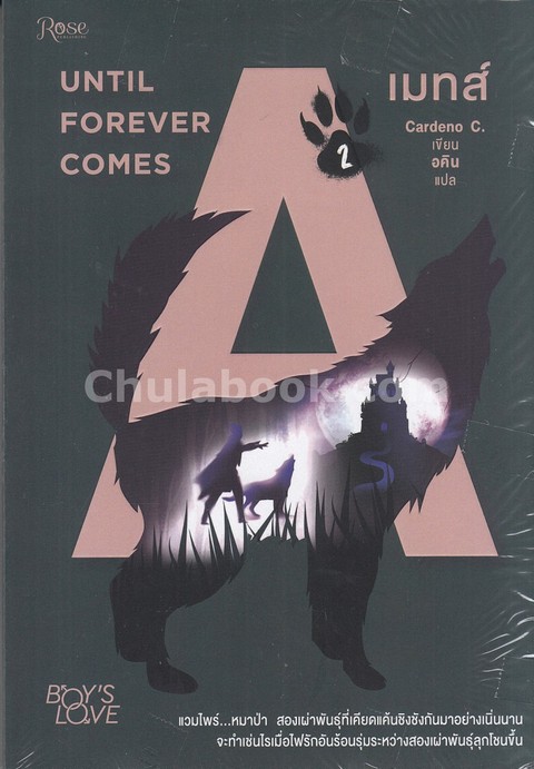 เมทส์ เล่ม 2 (MATES 2: UNTIL FOREVER COMES)