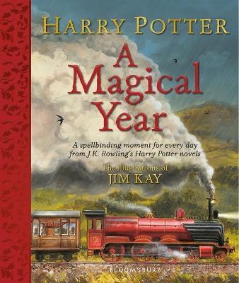 HARRY POTTER: A MAGICAL YEAR (THE ILLUSTRATIONS OF JIM KAY) (HC)