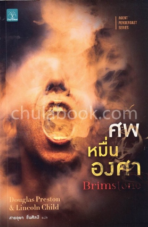 ศพหมื่นองศา (BRIMSTONE) :AGENT PENDERGAST SERIES