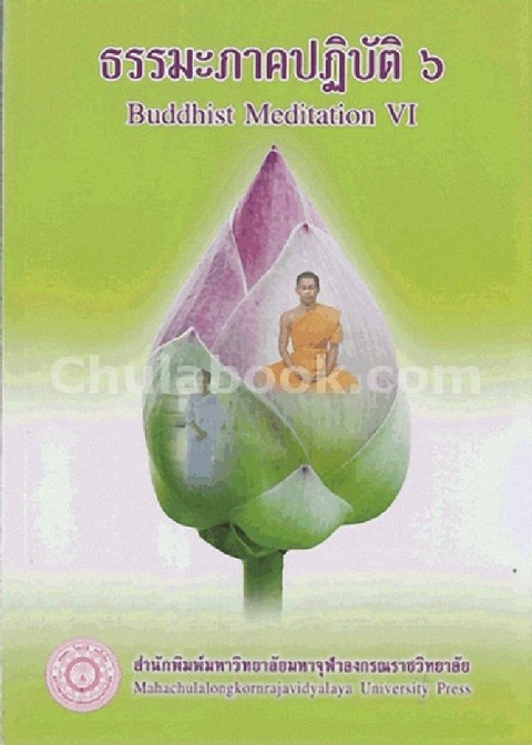 ธรรมะภาคปฏิบัติ 6 (BUDDHIST MEDITATION VI)