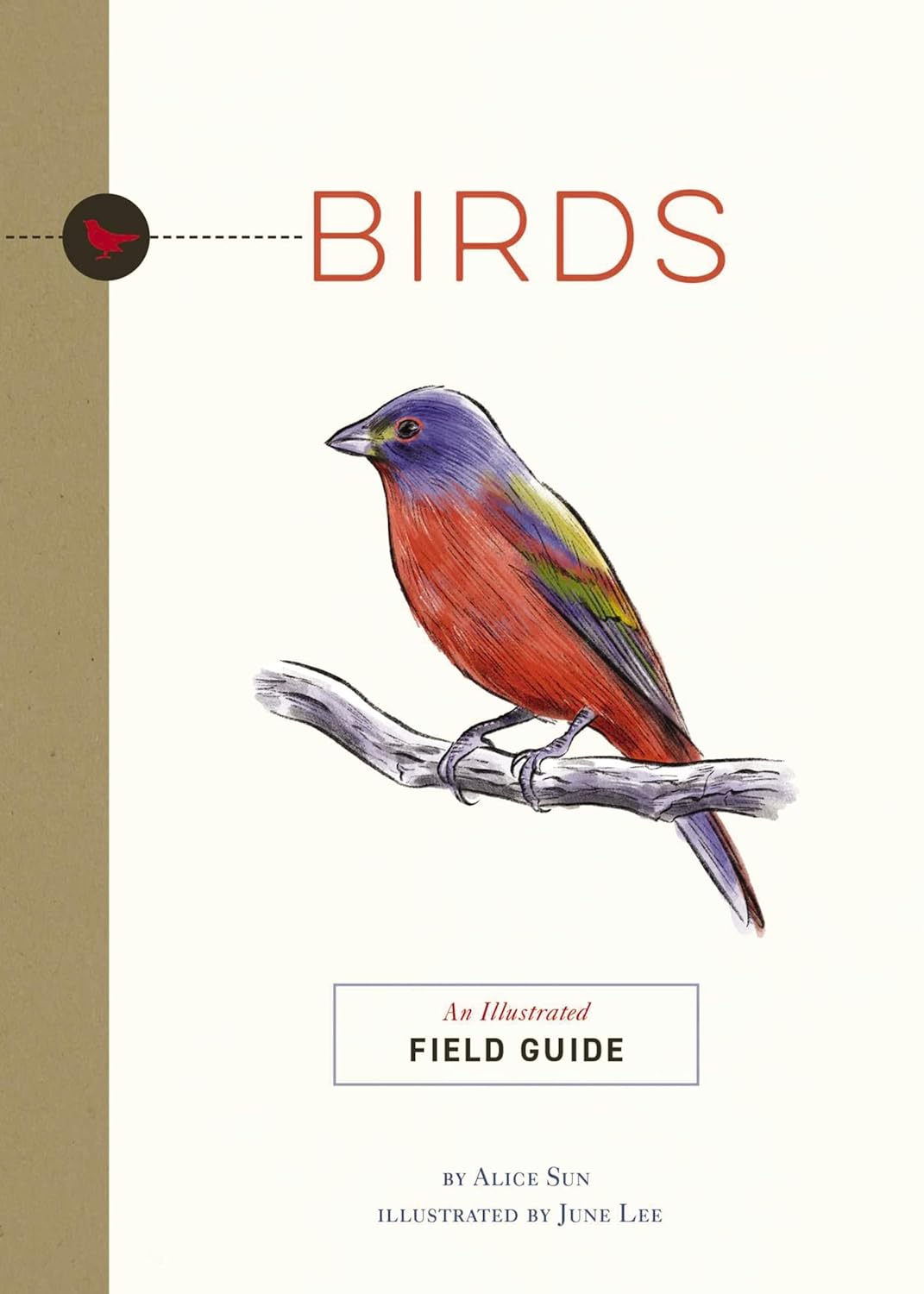 BIRDS: AN ILLUSTRATED FIELD GUIDE
