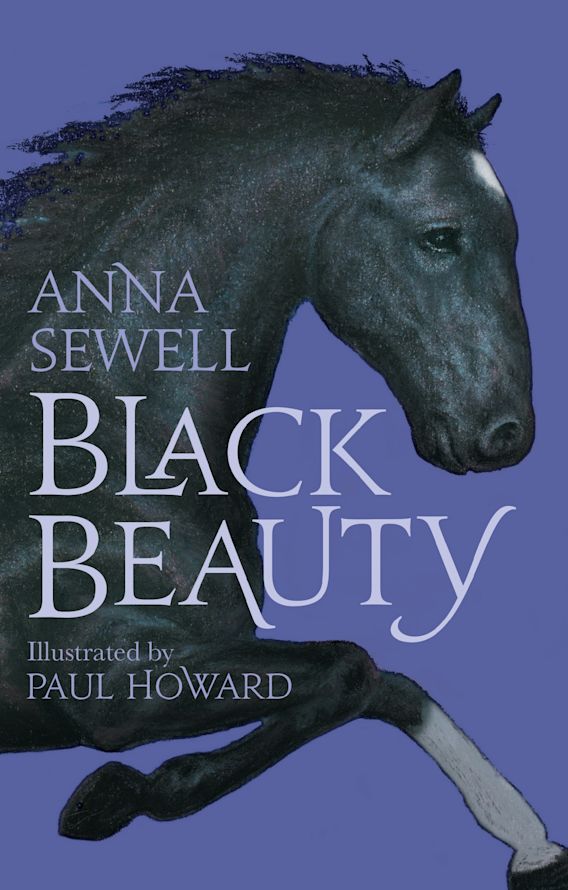 BLACK BEAUTY