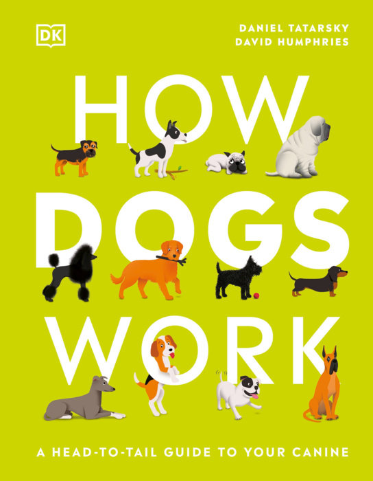 HOW DOGS WORK: A HEAD-TO-TAIL GUIDE TO YOUR CANINE (HC)