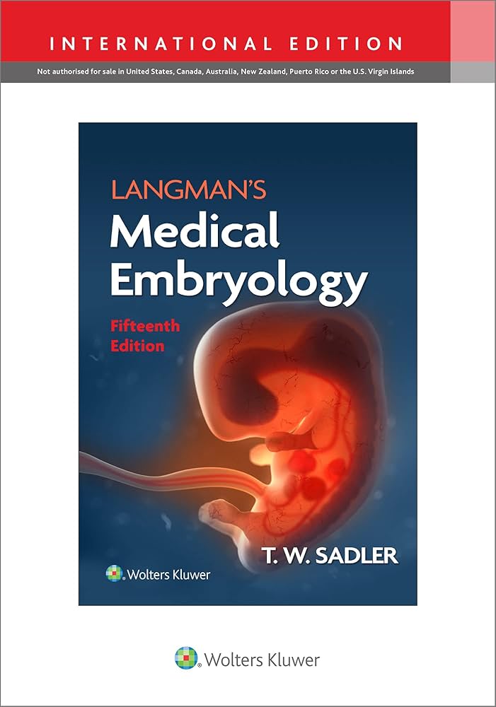 LANGMAN'S MEDICAL EMBRYOLOGY (IE)