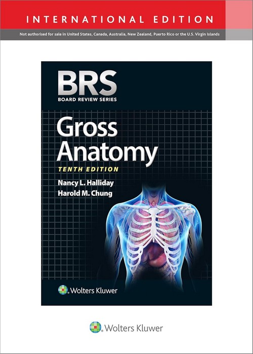 BRS GROSS ANATOMY (BOARD REVIEW SERIES) (IE)