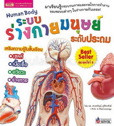 ระบบร่างกายมนุษย์ :ระดับประถม (HUMAN BODY)