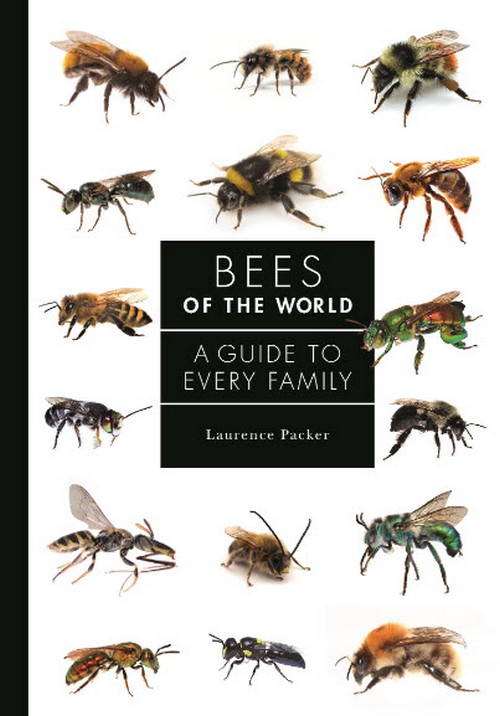 BEES OF THE WORLD: A GUIDE TO EVERY FAMILY (HC)