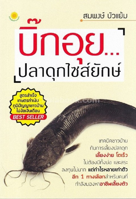 บิ๊กอุย...ปลาดุกไซส์ยักษ์