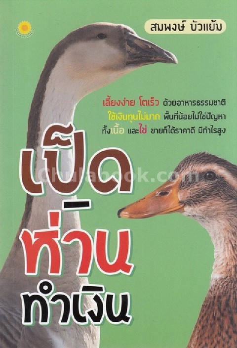 เป็ด-ห่าน ทำเงิน