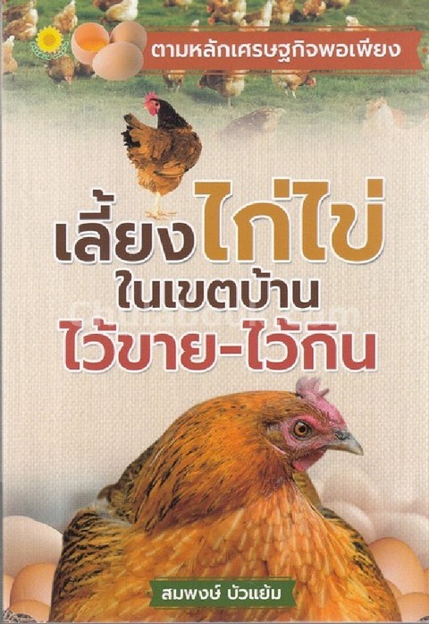 เลี้ยงไก่ไข่ในเขตบ้านไว้ขาย-ไว้กิน