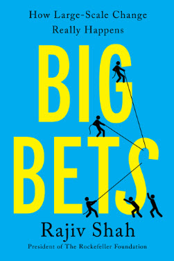 BIG BETS: HOW LARGE-SCALE CHANGE REALLY HAPPENS