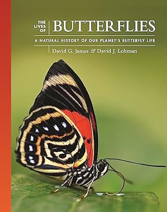 THE LIVES OF BUTTERFLIES: A NATURAL HISTORY OF OUR PLANET'S BUTTERFLY LIFE (HC)