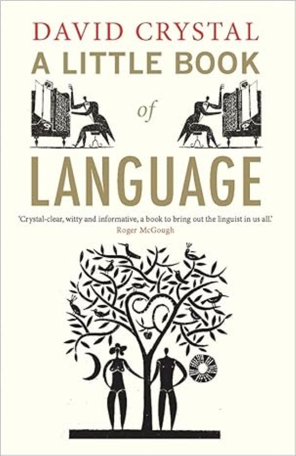A LITTLE BOOK OF LANGUAGE (LITTLE HISTORIES)