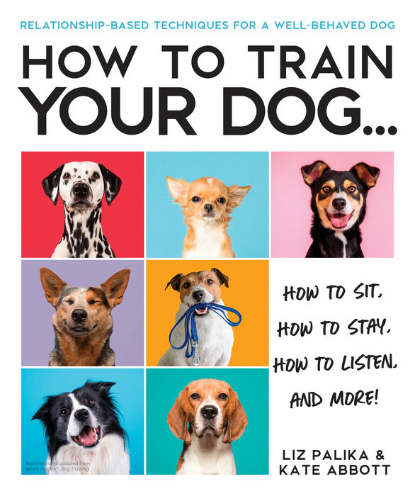HOW TO TRAIN YOUR DOG: HOW TO SIT, HOW TO STAY, HOW TO LISTEN, AND MORE!