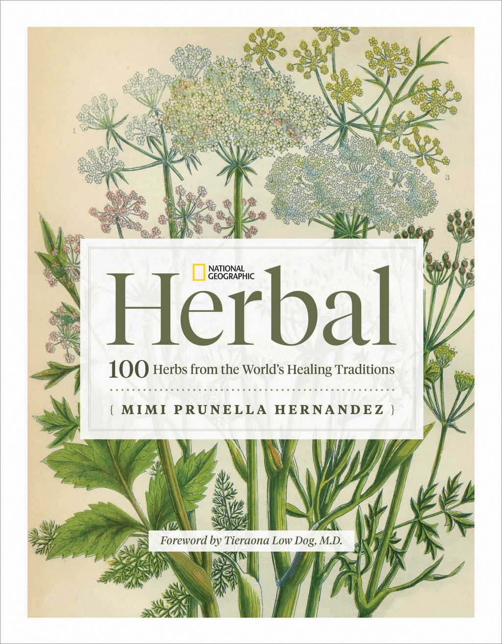 NATIONAL GEOGRAPHIC HERBAL: 100 HERBS FROM THE WORLD'S HEALING TRADITIONS (HC)