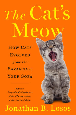 THE CAT'S MEOW: HOW CATS EVOLVED FROM THE SAVANNA TO YOUR SOFA (HC)