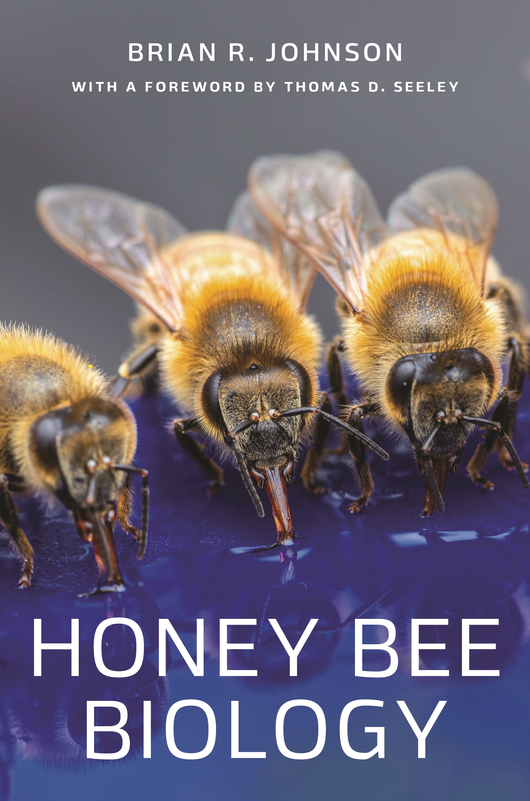 HONEY BEE BIOLOGY (HC)