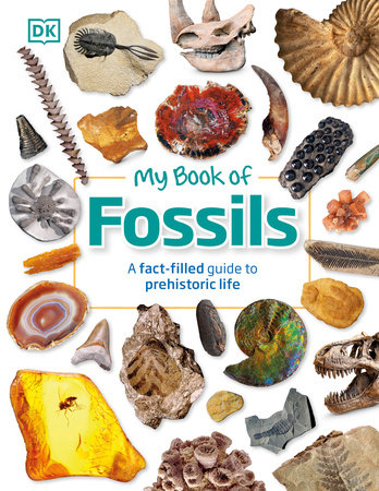 MY BOOK OF FOSSILS: A FACT-FILLED GUIDE TO PREHISTORIC LIFE (HC)