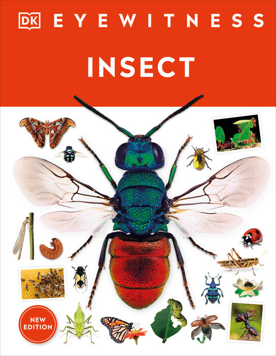 INSECT: EYEWITNESS