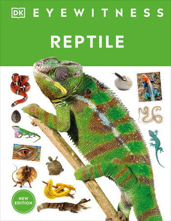 REPTILE: EYEWITNESS