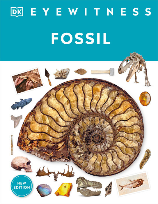 FOSSIL: EYEWITNESS