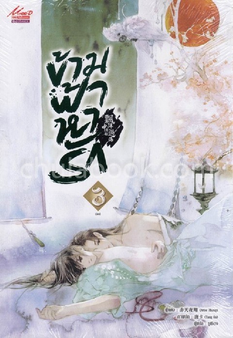 ข้ามฟ้าหารัก เล่ม 3 (จบ)