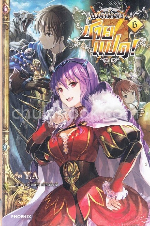 ผมเนี่ยนะ...ชายแปด! เล่ม 6